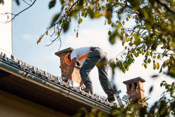 Best Storm Damage Roof Repair  in Clayton, NJ
